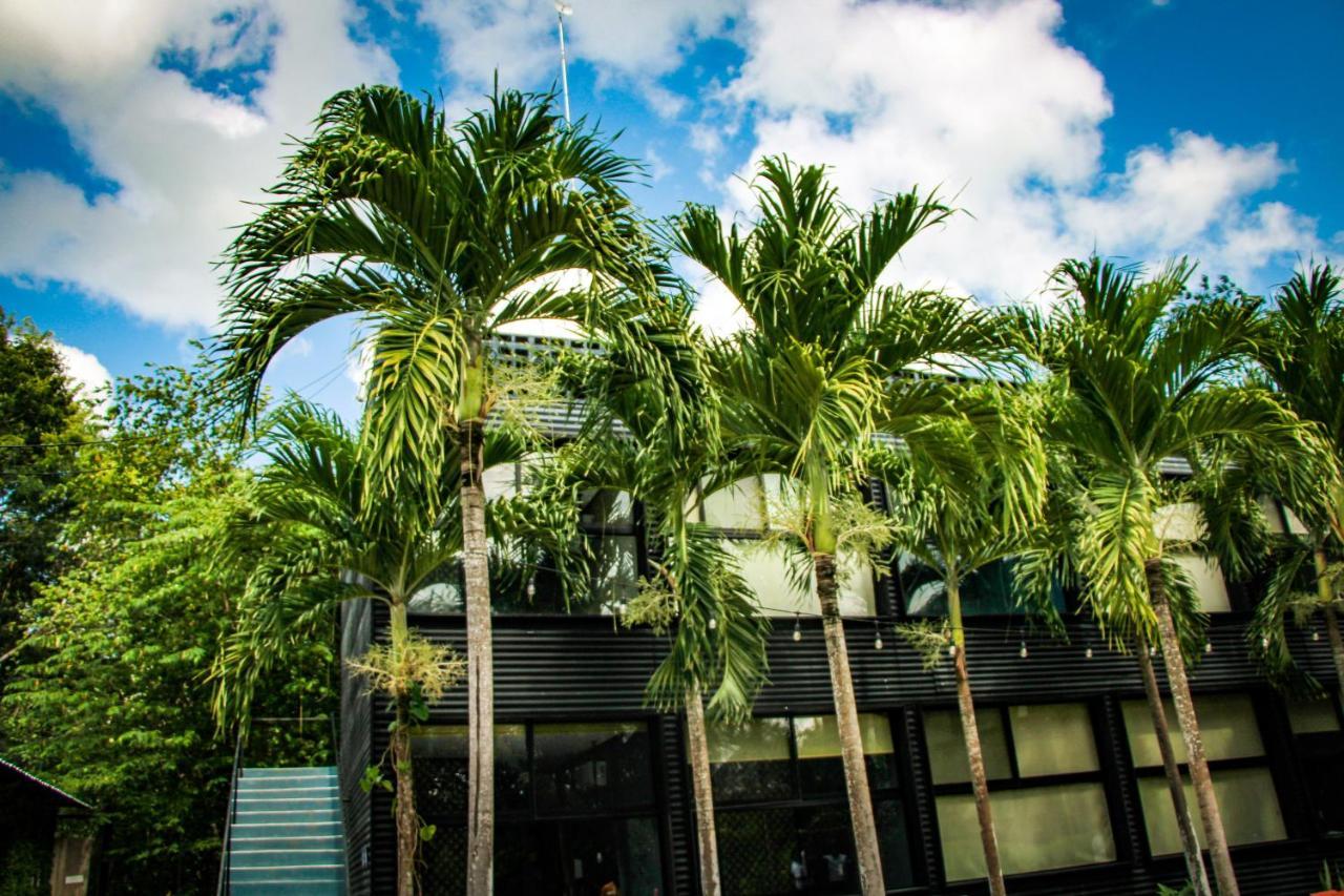 Urban Bacalar Hotel Extérieur photo